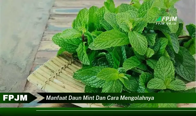 Ketahui 9 Manfaat Daun Mint untuk Kesehatan dan Kecantikan serta Cara Mengolahnya dengan Mudah