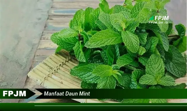 Ketahui 9 Manfaat Daun Mint untuk Kesehatan Tubuh dan Pikiran Anda