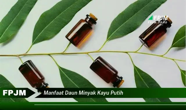 Ketahui 9 Manfaat Daun Minyak Kayu Putih untuk Kesehatan dan Kecantikan