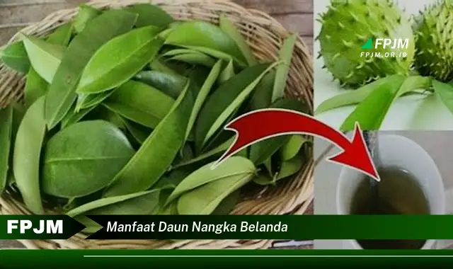 Ketahui 10 Manfaat Daun Nangka Belanda untuk Kesehatan dan Kecantikan