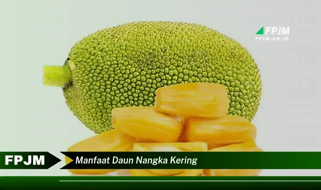 Ketahui 9 Manfaat Daun Nangka Kering untuk Kesehatan Anda