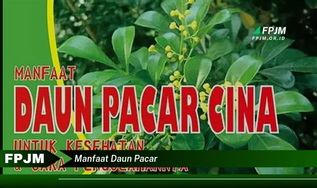 manfaat daun pacar