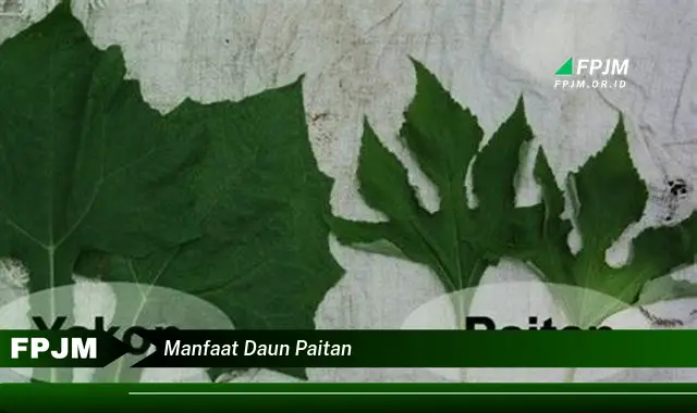 manfaat daun paitan