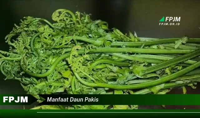 Ketahui 10 Manfaat Daun Pakis untuk Kesehatan, Kecantikan, dan Masakan