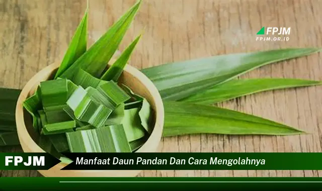 manfaat daun pandan dan cara mengolahnya