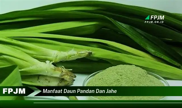 Ketahui 8 Manfaat Daun Pandan dan Jahe untuk Kesehatan Tubuh Anda