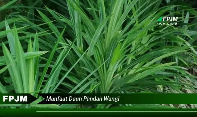 Ketahui 8 Manfaat Daun Pandan Wangi untuk Kesehatan dan Kecantikan