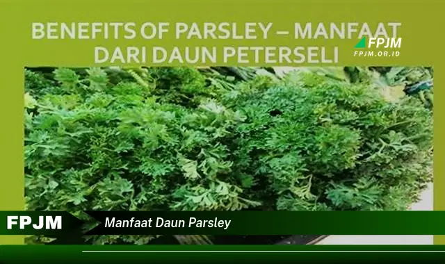 Ketahui 8 Manfaat Daun Parsley untuk Kesehatan Tubuh Anda