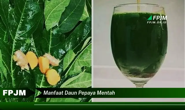 manfaat daun pepaya mentah