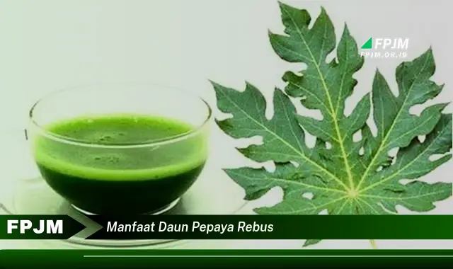 manfaat daun pepaya rebus