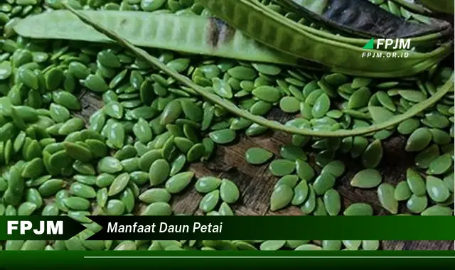 manfaat daun petai