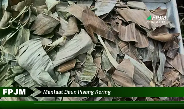 Ketahui 8 Manfaat Daun Pisang Kering untuk Kesehatan, Kecantikan, dan Kehidupan Sehari,hari