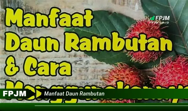 Ketahui 8 Manfaat Daun Rambutan untuk Kesehatan Anda