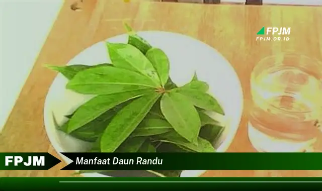 manfaat daun randu