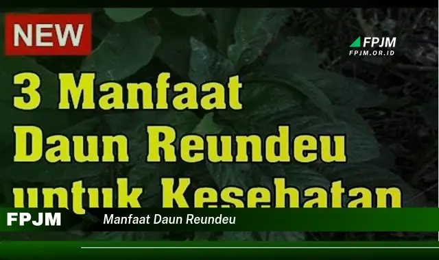 manfaat daun reundeu