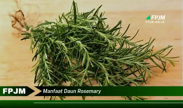 manfaat daun rosemary