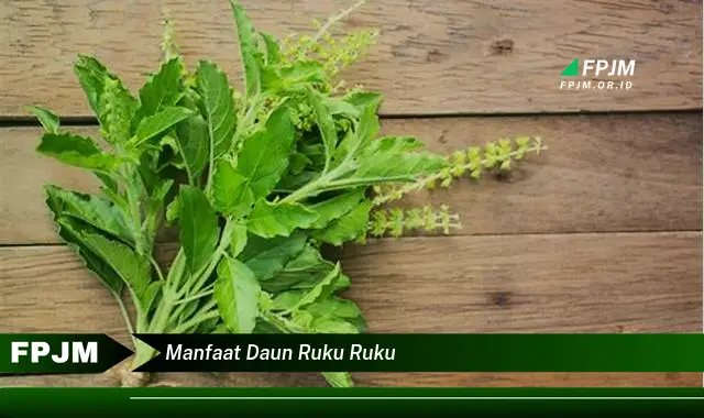 manfaat daun ruku ruku