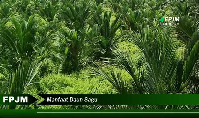 manfaat daun sagu