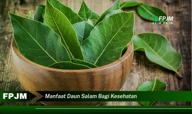 Ketahui 9 Manfaat Daun Salam bagi Kesehatan, Panduan Lengkap dan Terperinci