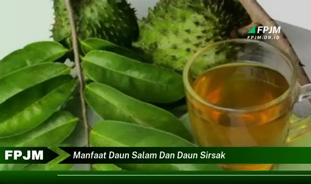 manfaat daun salam dan daun sirsak