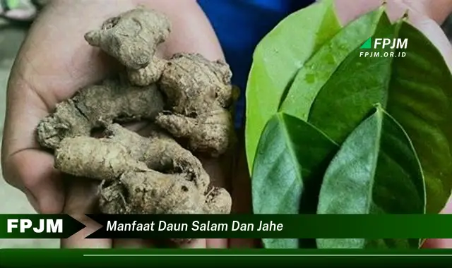 manfaat daun salam dan jahe