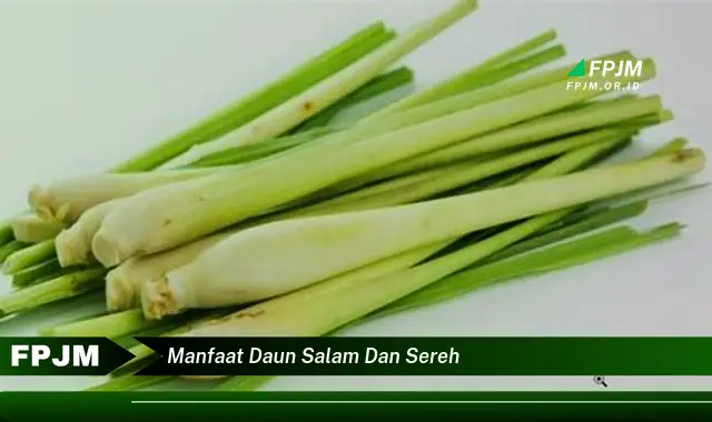 Ketahui 8 Manfaat Daun Salam dan Sereh untuk Kesehatan Tubuh Anda