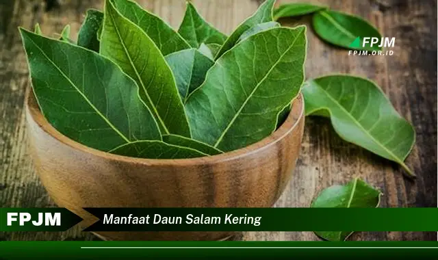 manfaat daun salam kering