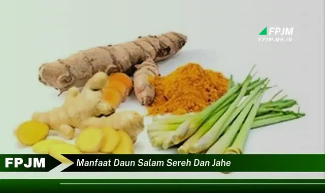 manfaat daun salam sereh dan jahe