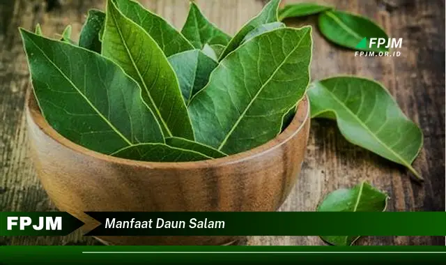 manfaat daun salam