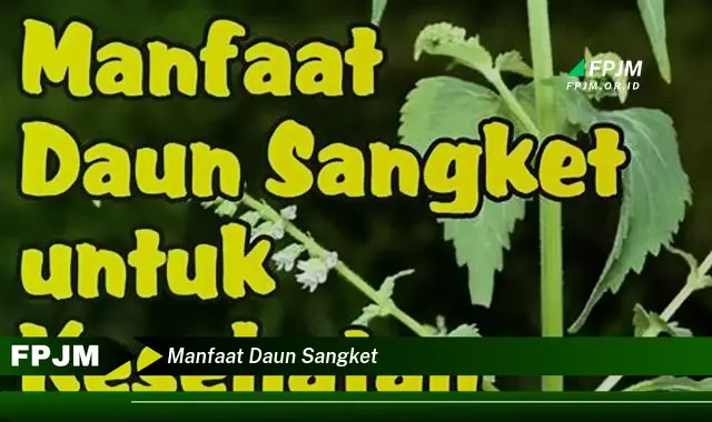 manfaat daun sangket