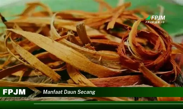 manfaat daun secang