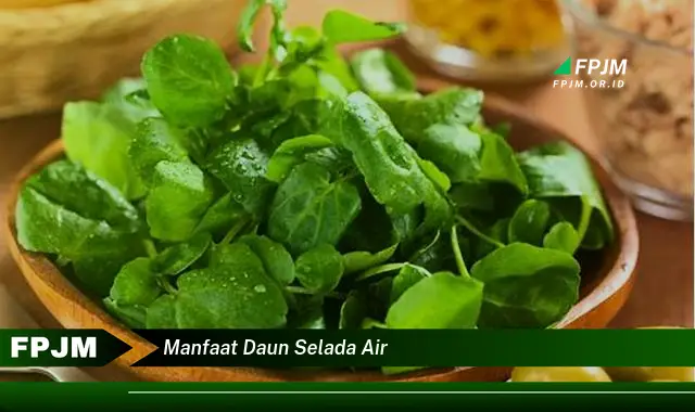 manfaat daun selada air