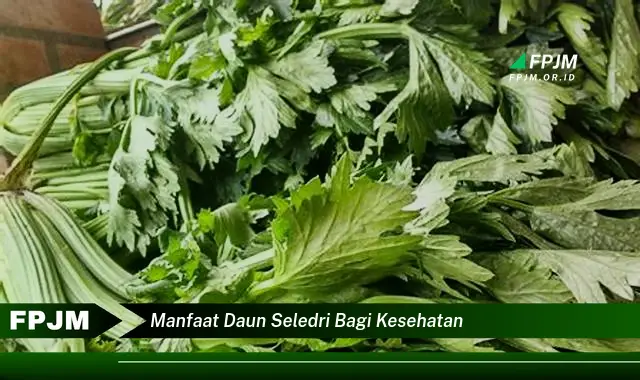 Temukan 8 Manfaat Daun Seledri bagi Kesehatan, Dari Menurunkan Tekanan Darah Hingga Meningkatkan Imunitas