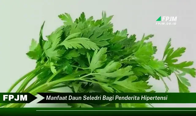 manfaat daun seledri bagi penderita hipertensi