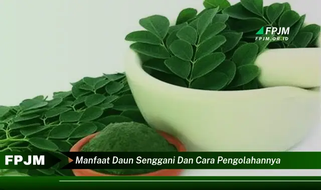 Ketahui 8 Manfaat Daun Senggani untuk Kesehatan dan Cara Mengolahnya Menjadi Obat Tradisional