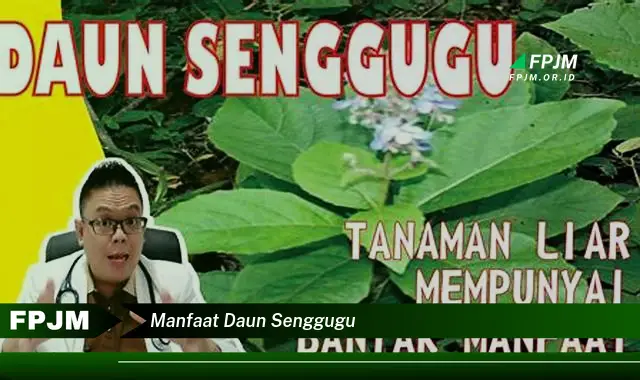 Ketahui 9 Manfaat Daun Senggugu untuk Kesehatan Tubuh Anda