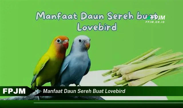 Ketahui 10 Manfaat Daun Sereh untuk Lovebird, Kesehatan, Perawatan, dan Tips Penggunaan