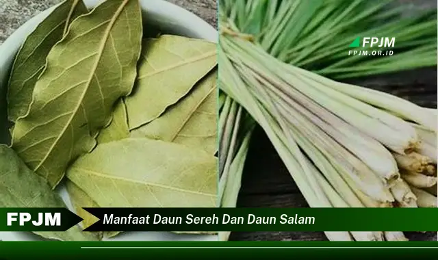 manfaat daun sereh dan daun salam