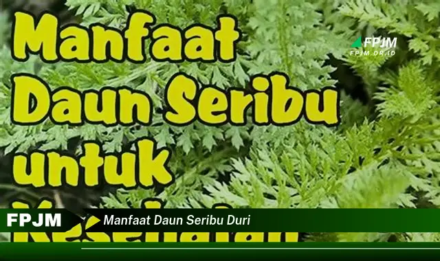 manfaat daun seribu duri