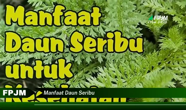 Ketahui 8 Manfaat Daun Seribu untuk Kesehatan Tubuh Anda