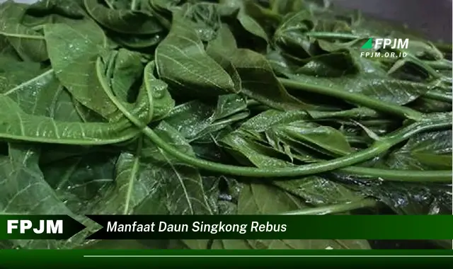 manfaat daun singkong rebus