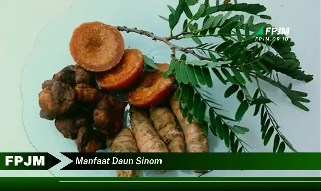 manfaat daun sinom