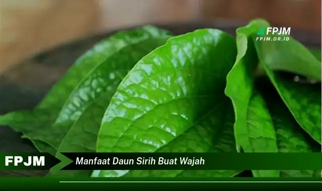 manfaat daun sirih buat wajah