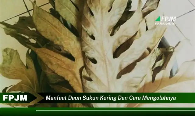 Ketahui 10 Manfaat Daun Sukun Kering untuk Kesehatan dan Cara Mengolahnya dengan Mudah