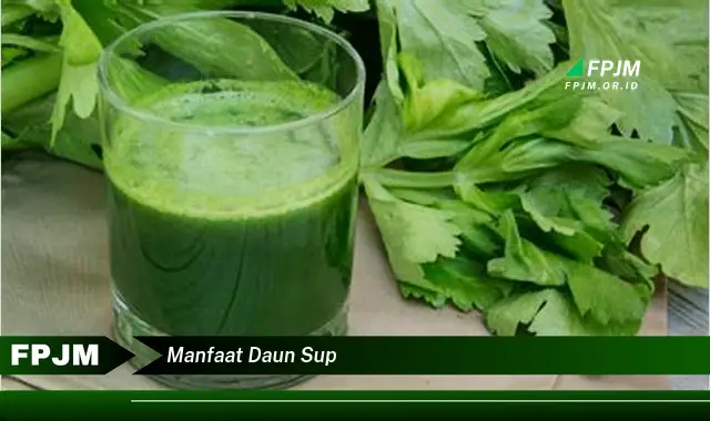 manfaat daun sup