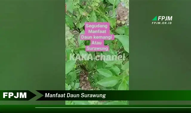 Ketahui 8 Manfaat Daun Surawung untuk Kesehatan dan Kecantikan