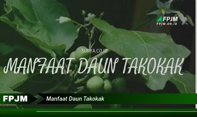 manfaat daun takokak