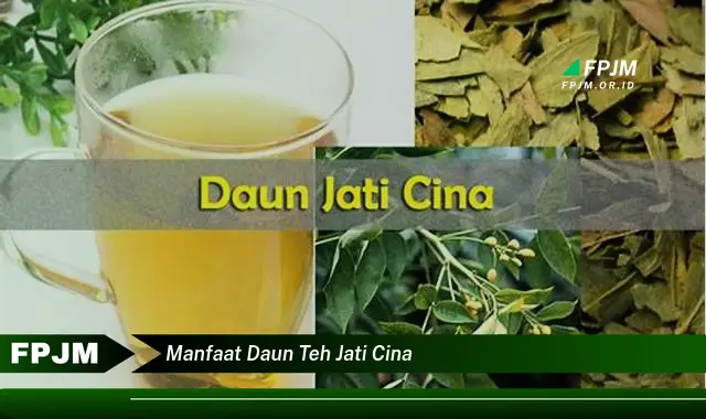 manfaat daun teh jati cina