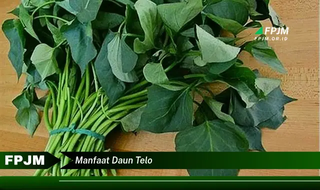 manfaat daun telo