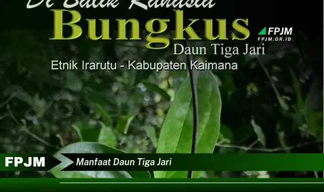 Ketahui 8 Manfaat Daun Tiga Jari untuk Kesehatan Anda